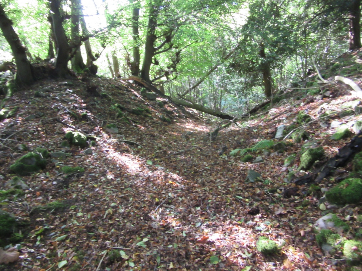 Pierce Wood Camp 1