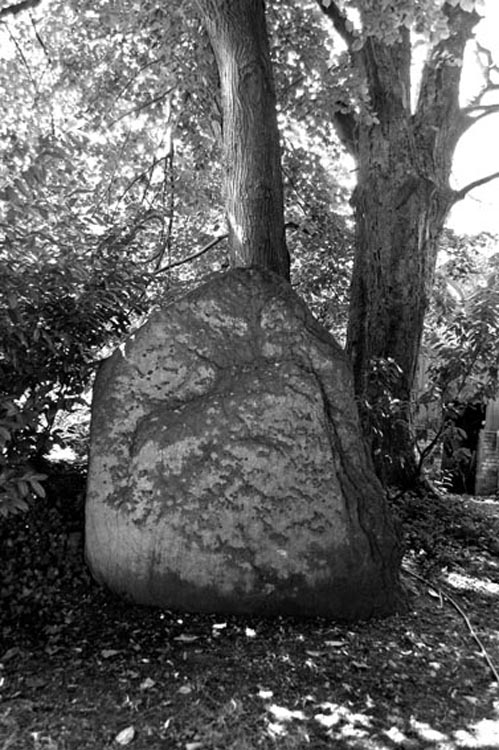 Click for the gallery page to add comments and vote (PID:72801) Druidstone (Michaelstone)