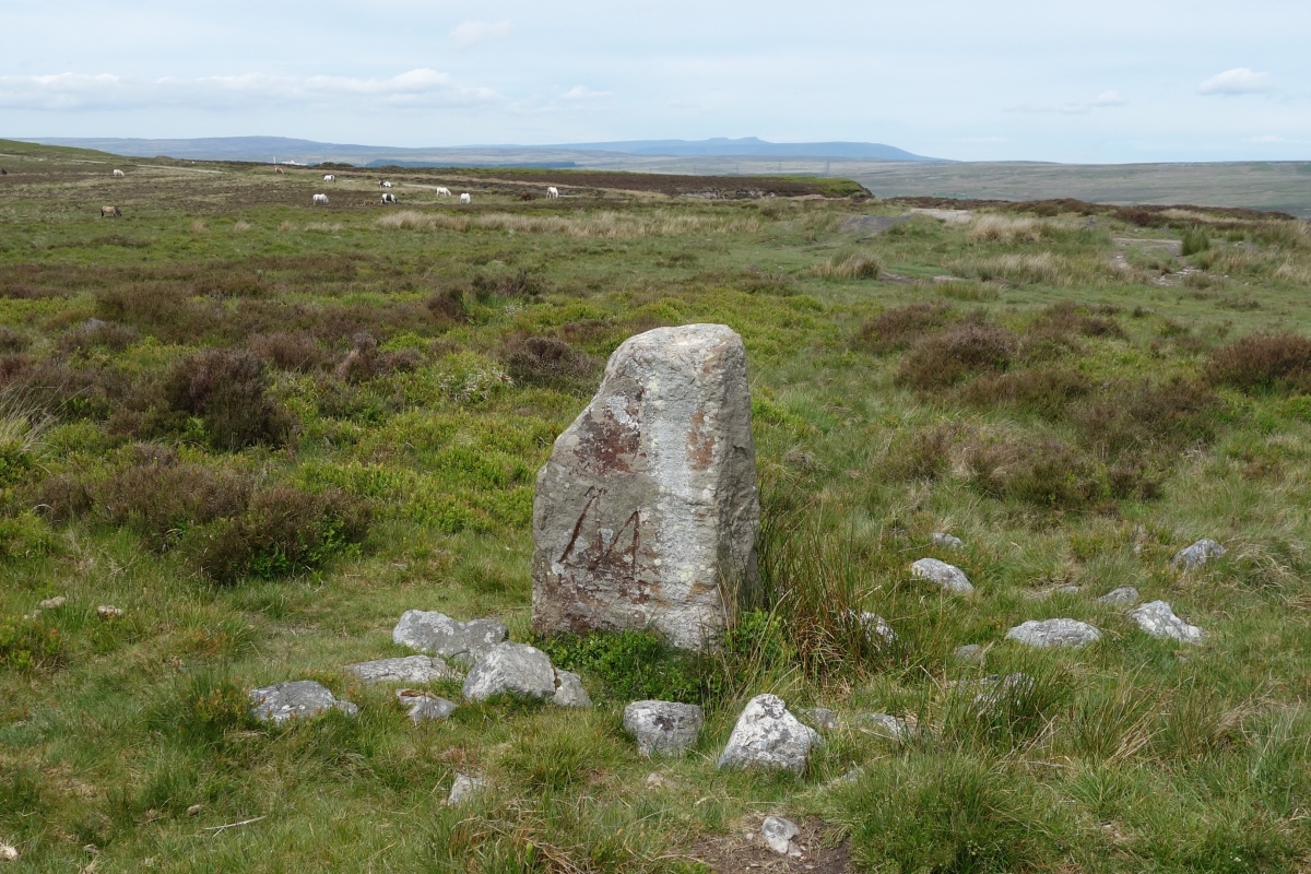Carreg Maen-Taro