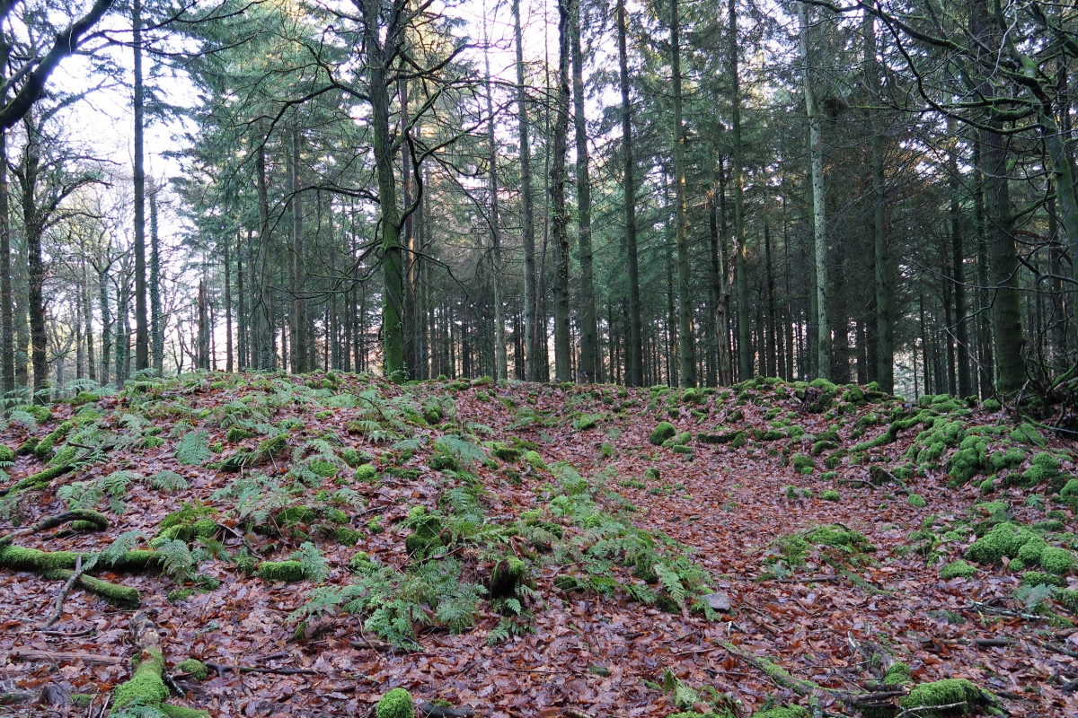 Tintern 1