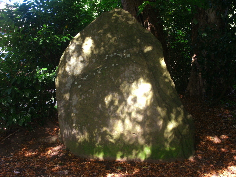 Druidstone (Michaelstone)