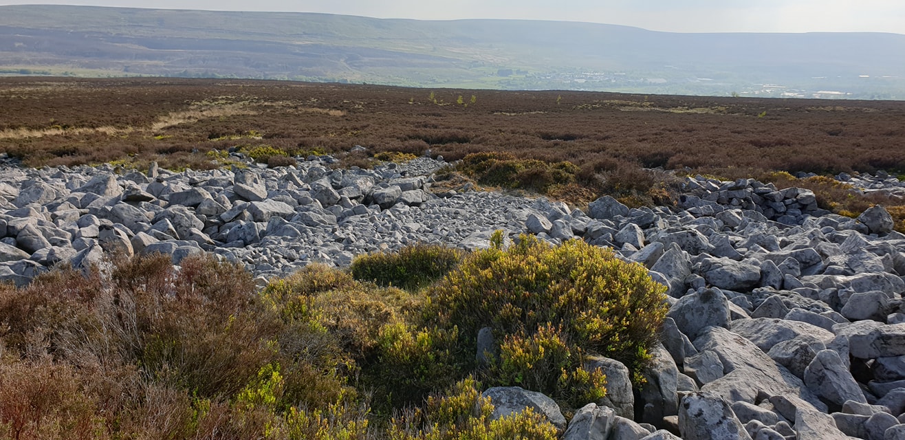 Click for the gallery page to add comments and vote (PID:253362) Mynydd Garn Fawr