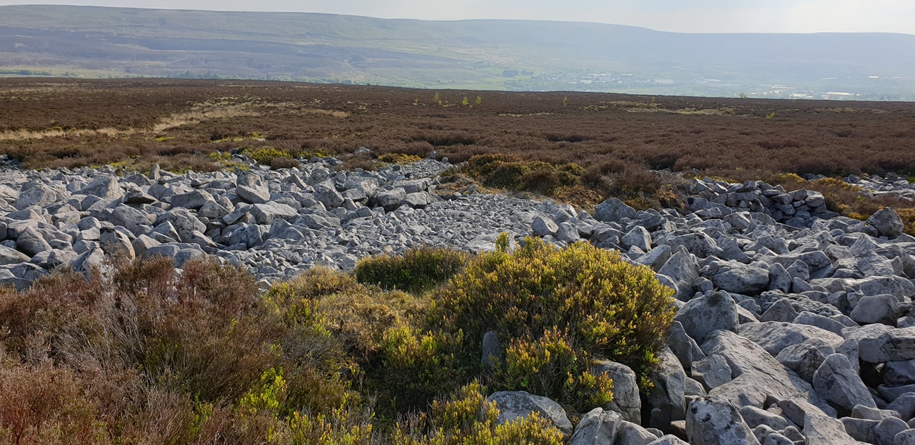 Mynydd Garn Fawr