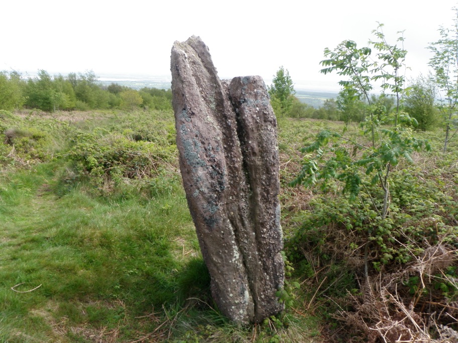 Gray Hill stone row