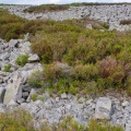 Mynydd Garn Fawr - PID:253363