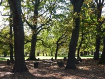 Belle Vue Park Gorsedd Circle