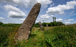 Harolds Stones
