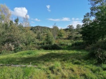 Forresters' Oaks Round Barrow