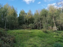 Forresters' Oaks Round Barrow