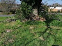 Thornwell Farm