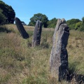 Harolds Stones - PID:292940
