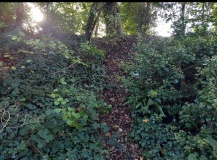The Bulwarks (Monmouthshire) - PID:298287
