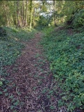 The Bulwarks (Monmouthshire) - PID:298288