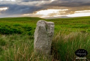 Carreg Gywir - PID:200423