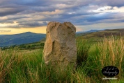 Carreg Gywir - PID:200422