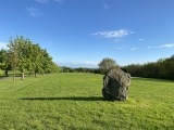 Cefn-Henllan Stone Circle - PID:257829