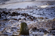 Carreg Maen-Taro - PID:193391
