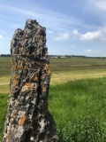 Llanfihangel Rogiet - PID:212019