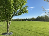 Cefn-Henllan Stone Circle - PID:257830