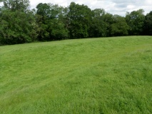 Cae Camp Hillfort