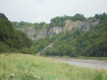 Pierce Wood Camp 1