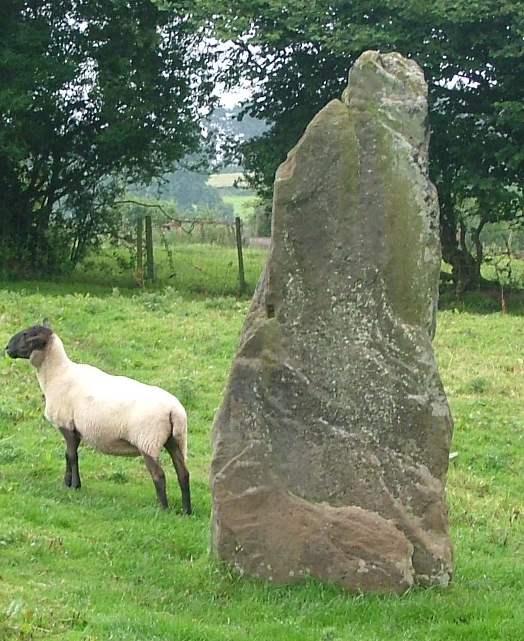 Harolds Stones