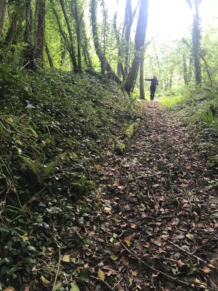 Wilcrick Hill Fort