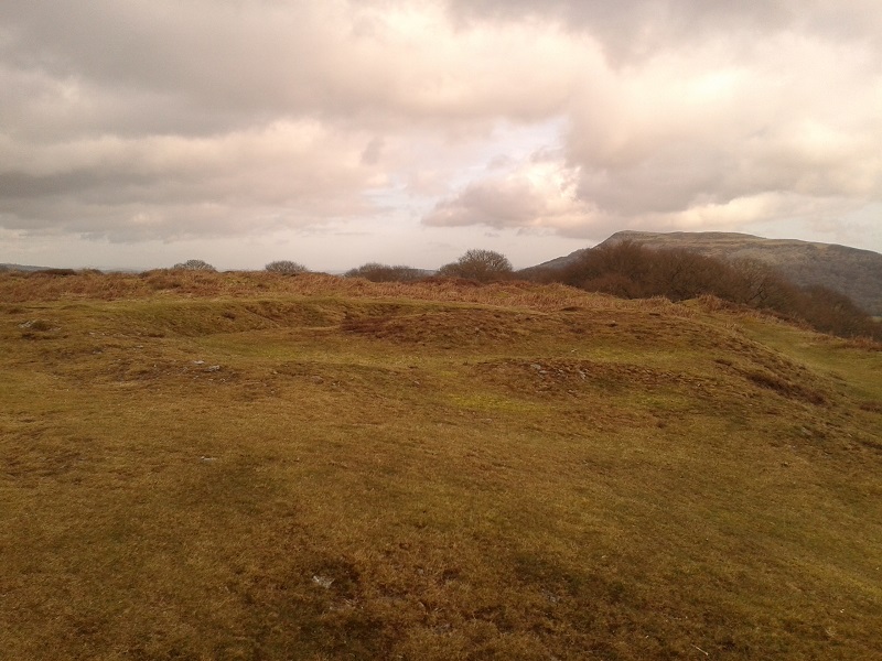 Click for the gallery page to add comments and vote (PID:178374) Twyn yr Allt