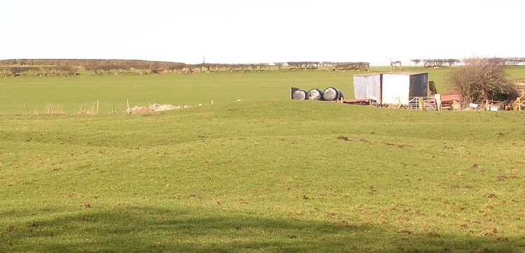 Holywell Racecourse