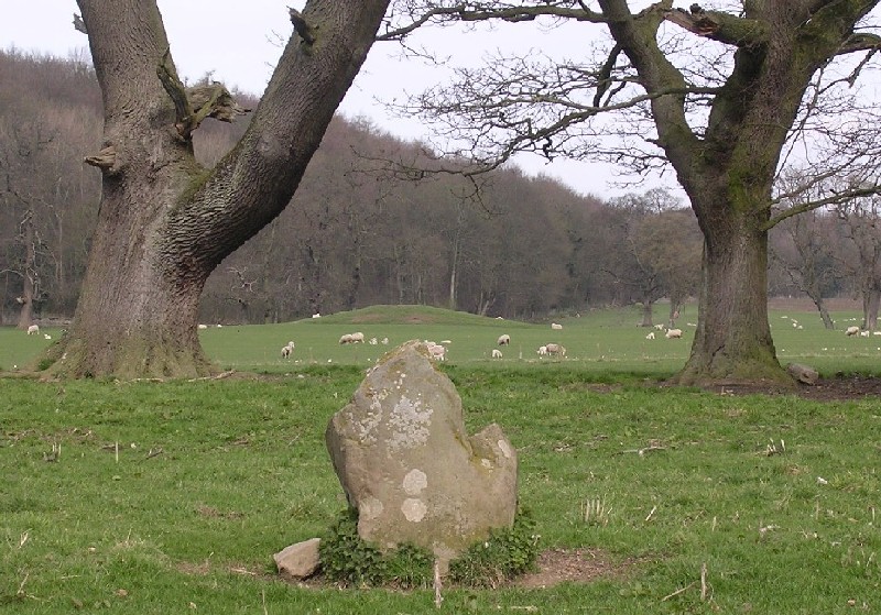 The Penbedw Park Tumulus as seen from one of the stones of the circle.

It also shows the clear surplanting of trees, to replace stones to complete a sense of the ring.

Burl reports on some who were digging the tumulus to see what could be found, and were warned that they would be haunted by the spirits of the dead who dwellt there.

Permission must be obtained before visiting, as it is on 
