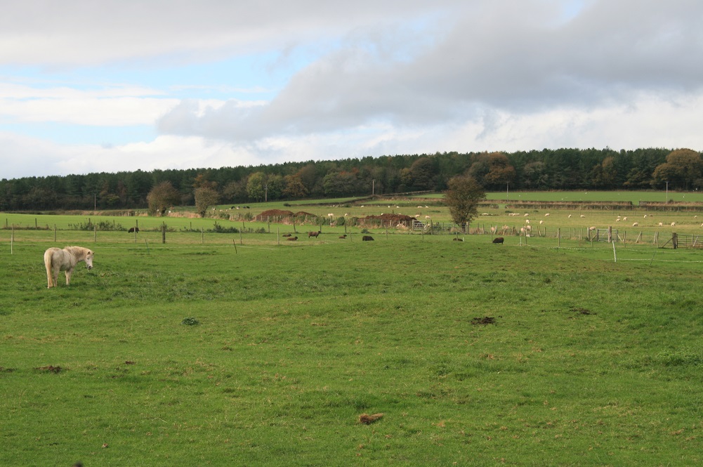 Click for full size image of Holywell Racecourse (PID:127271) Holywell Racecourse
