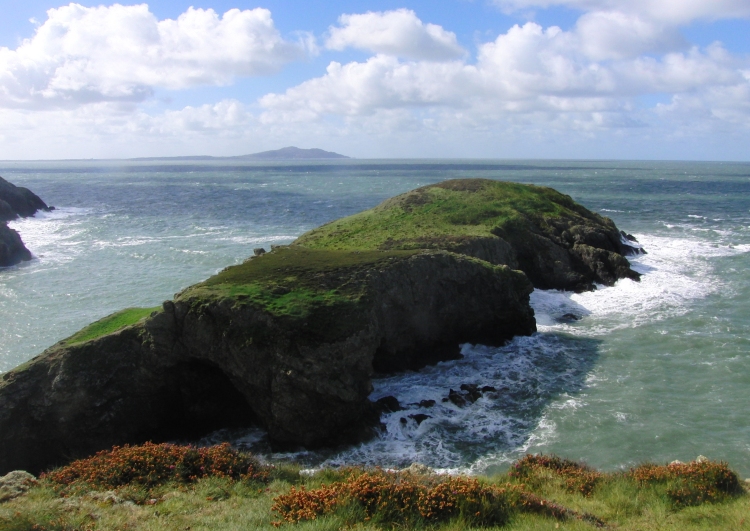 Click for the gallery page to add comments and vote (PID:94450) Ynys-y-Fydlyn