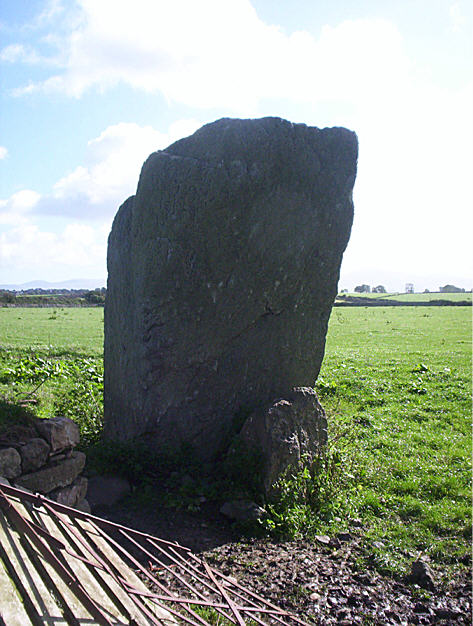 Bryn Gwyn Stones