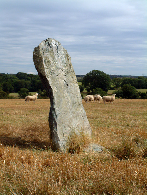 
Another view, showing the lean of the stone. A buzzard was using it as a perch as I approached.