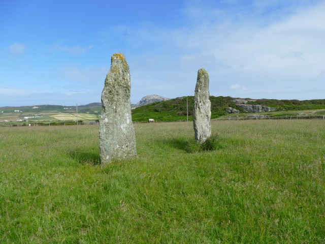 Click for the gallery page to add comments and vote (PID:250667) Penrhos-Feilw