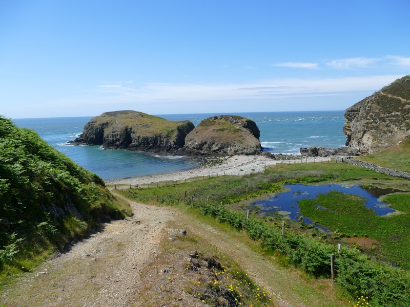 Click for the gallery page to add comments and vote (PID:287336) Ynys-y-Fydlyn