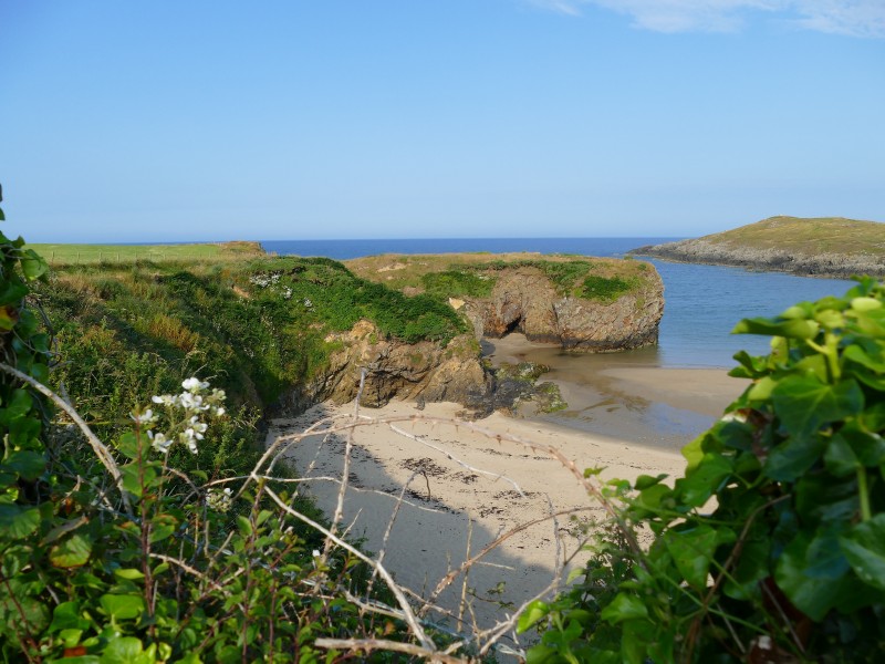 Click for the gallery page to add comments and vote (PID:287639) Porth Trecastell