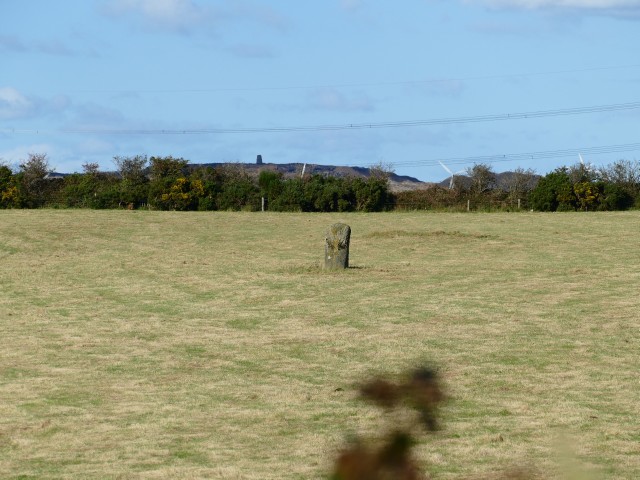 Click for the gallery page to add comments and vote (PID:250677) Bryn Dyfrydog