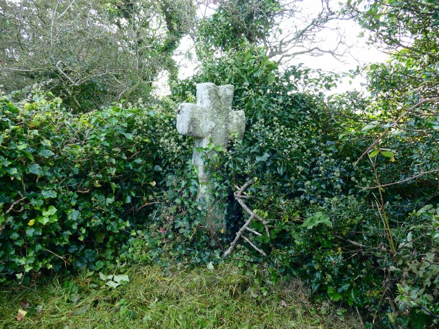 Click for the gallery page to add comments and vote (PID:251175) Llanfihangel Tre'r Beirdd Cross
