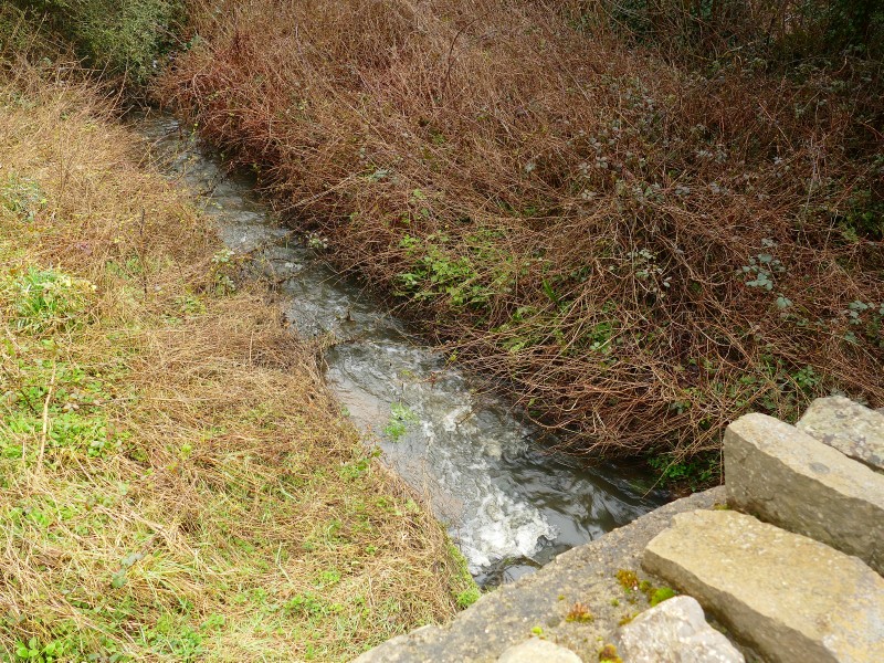 Click for the gallery page to add comments and vote (PID:272205) Ffynnon Deiniol