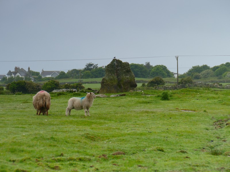Click for the gallery page to add comments and vote (PID:273877) Trearddur Dolmen