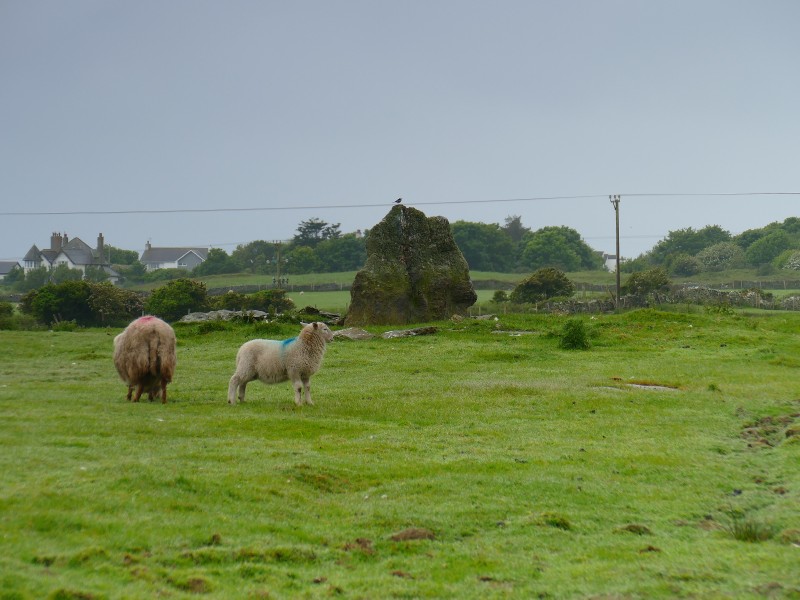 Trearddur Dolmen