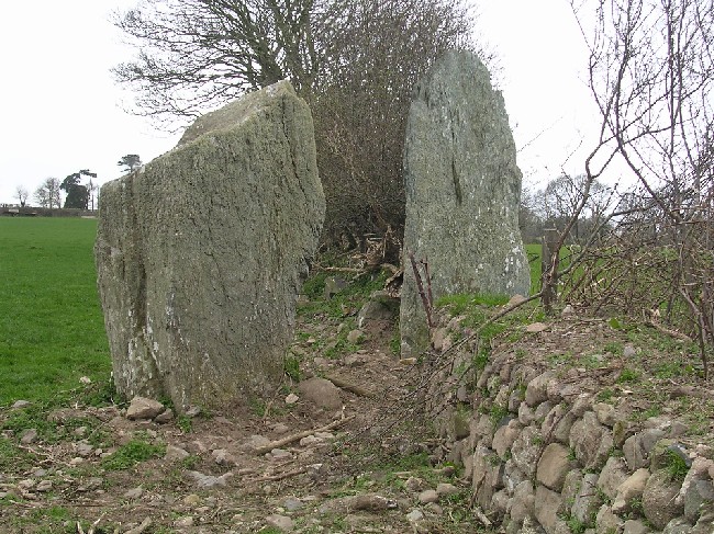 Bryn Gwyn Stones