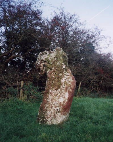 Carreg Leidr Carreg Leidr Standing Stone SH446843
Visited Saturday 23rd September 2000
SWW Mynydd Bodafon. I first attempted to visit this stone in June 1999, but despite ¼ hour searching, with assistance of a 1:50000 map, I could not find it. Returning in late September 2000 with autumn beginning to bite well, the hedges and foliage were considerably less obfuscating than at the height of summer. To find