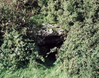 Coed Y Glyn Burial Chamber