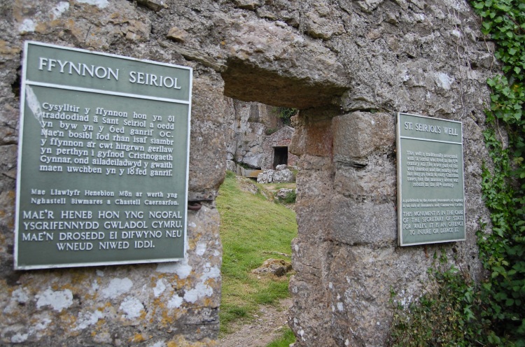 Click for the gallery page to add comments and vote (PID:29858) St Seiriol's Well