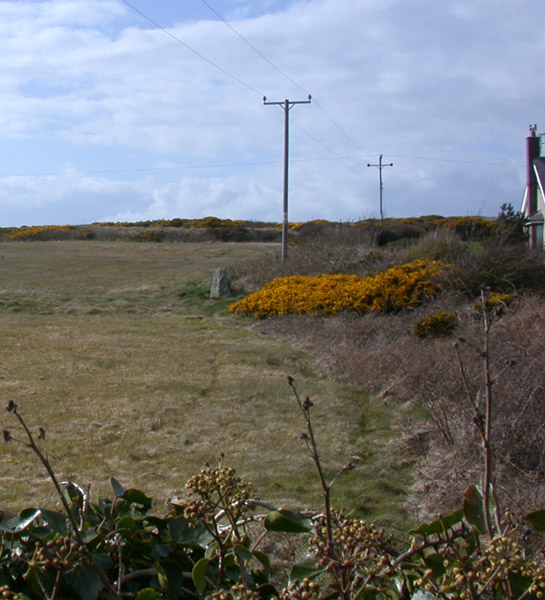 Click for the gallery page to add comments and vote (PID:27460) Penrhos-Feilw