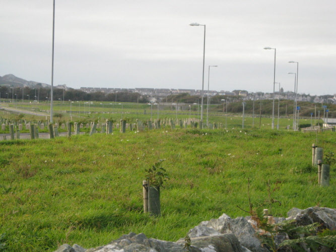 Click for the gallery page to add comments and vote (PID:51809) Ty Mawr (Nr Holyhead)