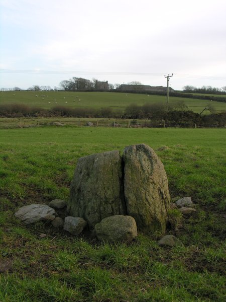 Click for the gallery page to add comments and vote (PID:27468) Bedd Branwen