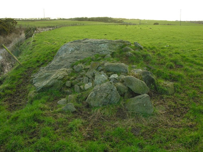 A pile of clearance material just south of Bedd Branwen, next to the river. In cases like this you can't help but wonder if this was *something* (well of course it was *something*, but perhaps related to the nearby ring cairn).